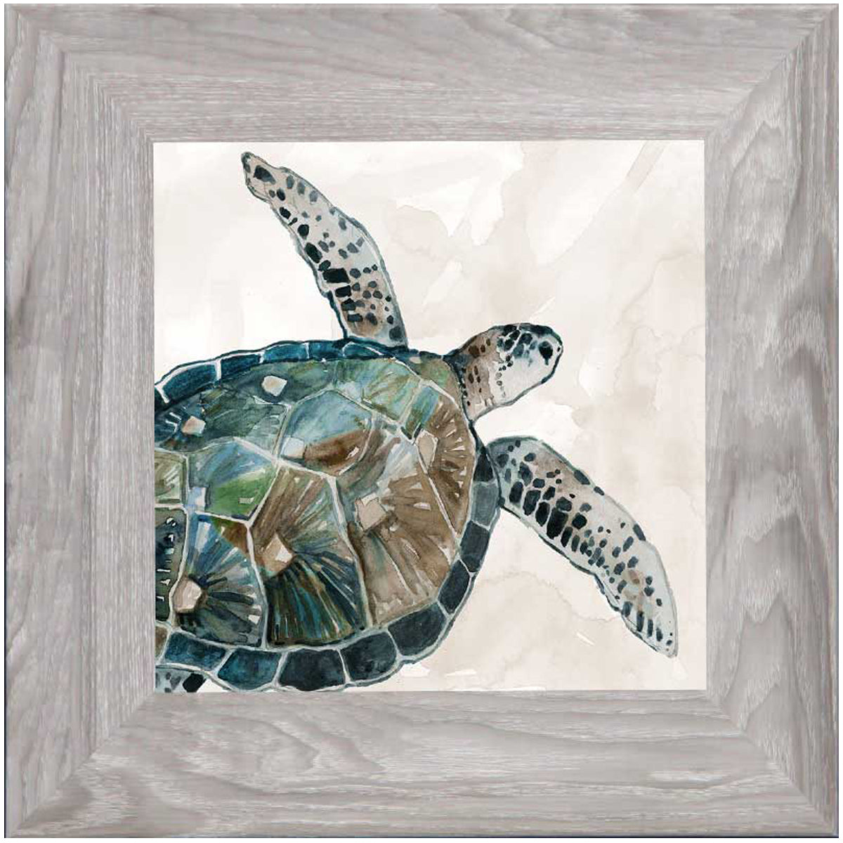 Neutral Sea Turtle II by Carol Robinson - Framed Art