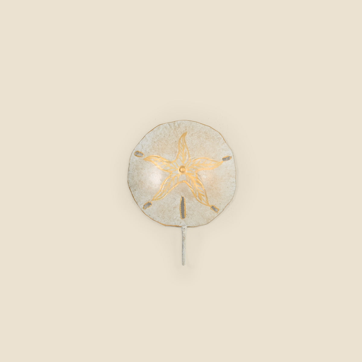 Sand Dollar Wall Hook