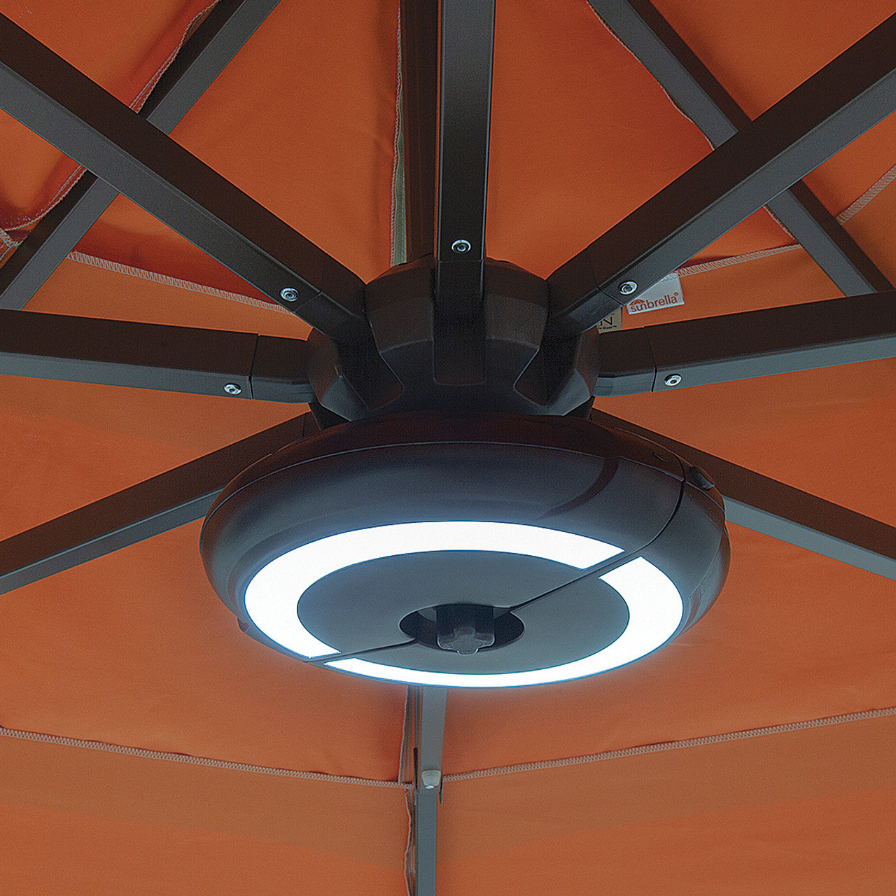 Halo Umbrella Light